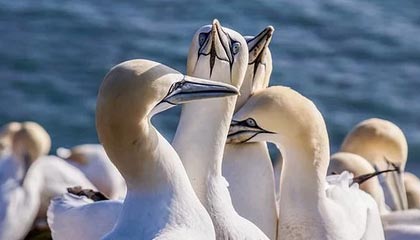 华体会hth：点亮体育热情的新纪元