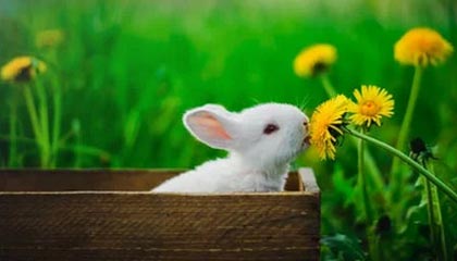 华体会hth：点亮体育热情的新纪元